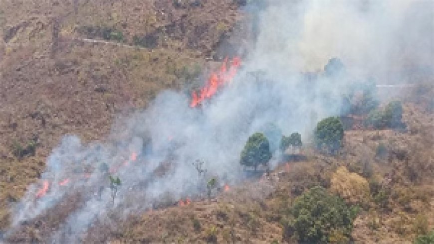 నైనిటాల్​ అడవుల్లో మంటలు