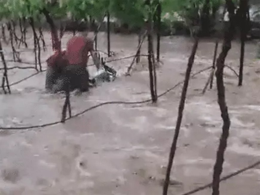 మహారాష్ట్రలో భారీ వర్షాలకు ఇద్దరు మృతి