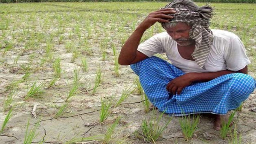 రుతుపవనాల మందగమనం